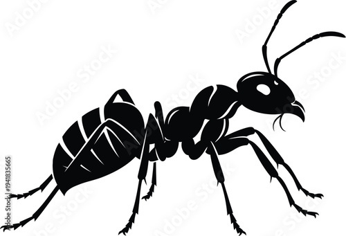 Ant Silhouette Detail Macro Insect Macro Detail Insect Macro Insect Close Up Macro Detailed Insect Silhouette Insect