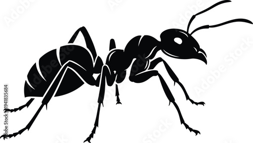 Ant Silhouette Walking Isolated on White Background Macro Insect Detail