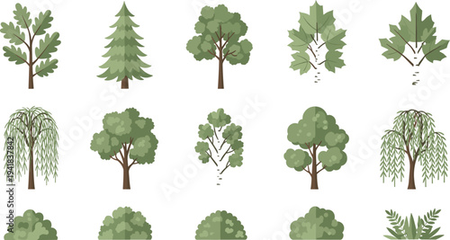 Set of green deciduous and conifer tree vector illustrations isolated on white background for landscape and nature design