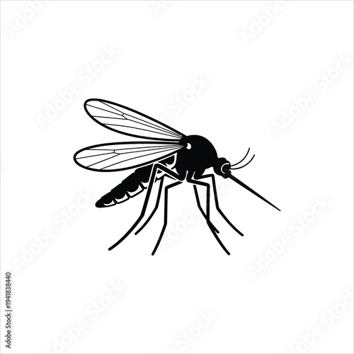 Mosquito insect illustration with detailed wings and proboscis pest symbol isolated on white background