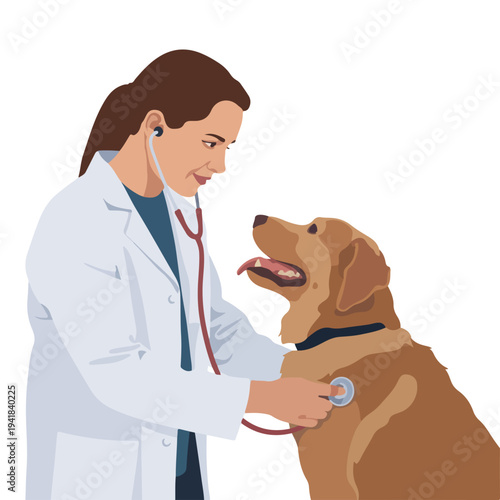 A veterinarian examining a dog with a stethoscope in a modern veterinary clinic