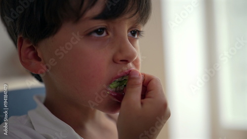 Canvas Print Young boy eating lettuce with slight reluctance, mild disgust expression, health