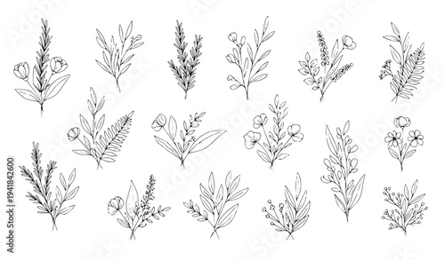 Abstract botanical line art bouquets with hand drawn herbs leaves and floral branches