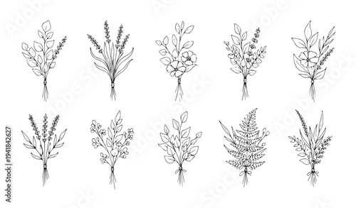 Botanical line art bouquets with hand drawn herbs flowers leaves and branches minimal vector set