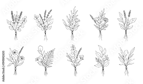 Botanical line art bouquets with hand drawn herbs flowers leaves and branches minimal vector set