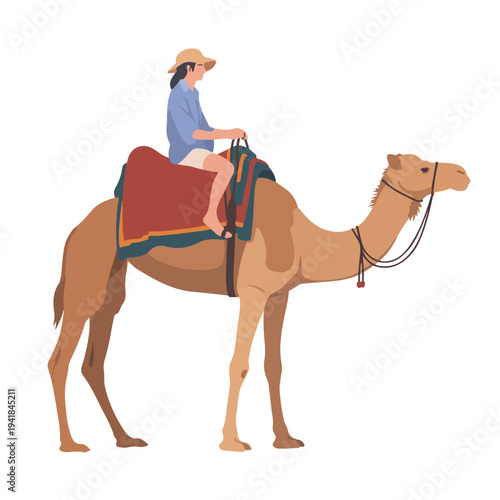 A vector illustration of a person riding a camel with a red saddle