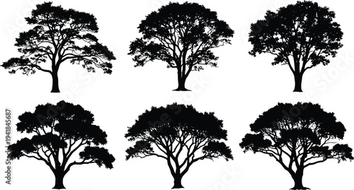 Set of Realistic Black Tree Silhouettes with Dense Foliage and Natural Shapes Isolated on White Background