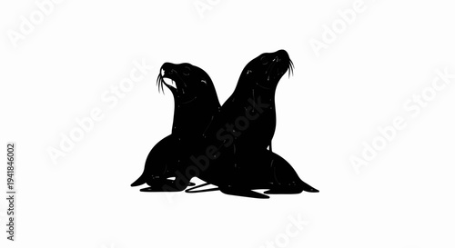 Two black seals sit back to back, heads tilted upward