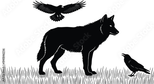 Minimalist black and white vector illustration featuring a solitary wolf standing in grass with two ravens, isolated on white background.