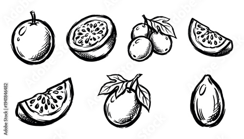 Hand-drawn passion fruit illustration set showing whole, half, and sliced maracuja in a black ink sketch style with bold brush strokes and cross-hatching details
