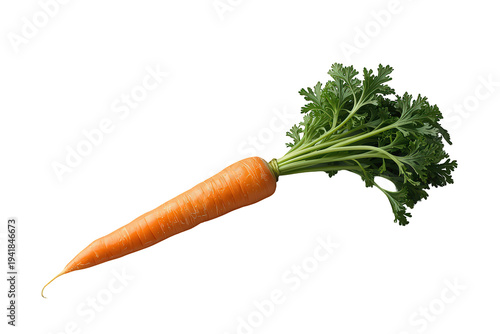 Fresh organic carrot with green leafy tops, healthy root vegetable for nutritious diet on transparent background