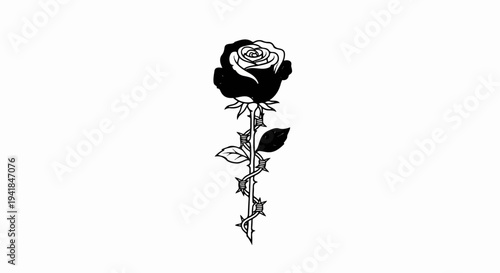 Stylized rose with a barbed wire stem against a white background