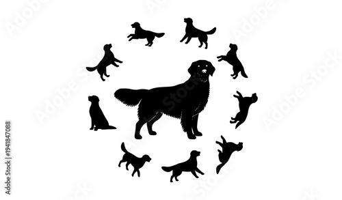 Golden Retriever Dog Silhouette Badge Vector Pet Breed Illustration Set