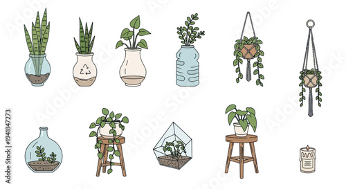 Hand-drawn collection of various potted plants and terrariums.