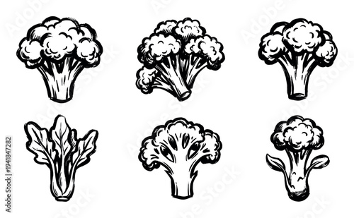 Set of six hand drawn broccoli illustrations in a black ink brush stroke style, a collection of graphic vegetable icons for healthy eating and vegan food concepts
