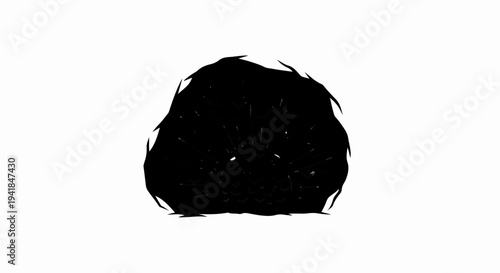 Stylized black spiky creature or object radiating lines on a white background