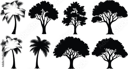 Set of tree and palm silhouettes isolated on white background featuring tropical and deciduous shapes for design use