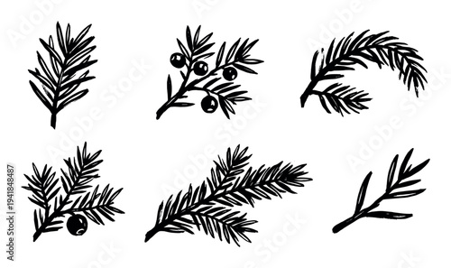Hand drawn set of black ink juniper branches with berries and needles, a collection of minimalist botanical illustrations in a rough, graphic sketch style for winter holiday design
