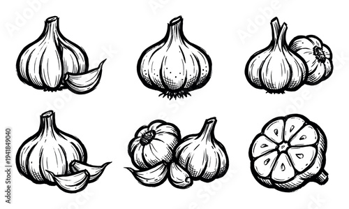 Collection of six hand-drawn garlic illustrations in a bold black and white ink style, featuring whole bulbs, individual cloves, and a detailed cross-section of the vegetable