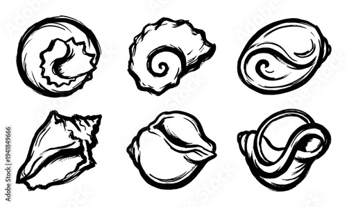 Six black ink brush stroke seashells in a graphic sumi-e style collection of various marine mollusk shells, featuring spiral and conch shapes with expressive, artistic lines