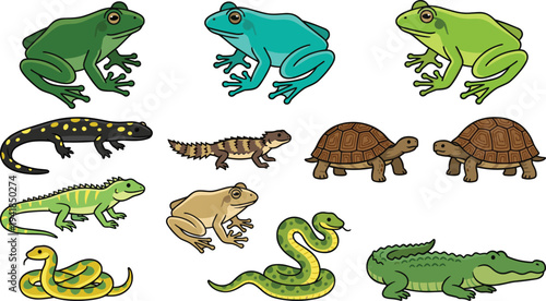 Cute cartoon amphibians and reptiles collection including frogs, turtles, snakes, lizard, salamander and crocodile isolated vector wildlife set for education