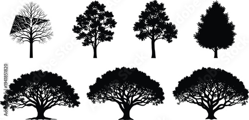 Set of realistic black tree silhouettes in different shapes and growth stages isolated on white background for nature and design use