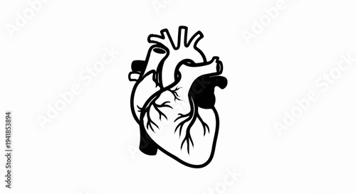 Stylized black ink drawing of a human heart with visible vessels