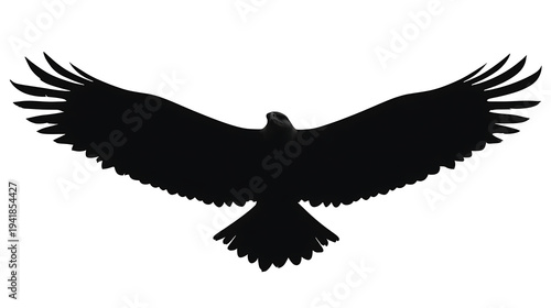 A striking silhouette of an eagle in full flight, showcasing the majesty of the bird's wingspan. The image portrays strength, freedom and aerial prowess.