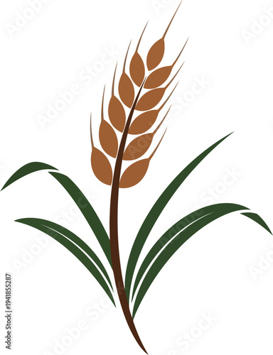 Wheat Ear Plant Icon Agricultural Grain Crop Botanical Vector Illustration