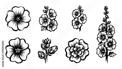 Set of black hand-drawn hollyhock flower illustrations in a sketchy ink brush style showing single blossoms, buds, and full stems for botanical or floral designs