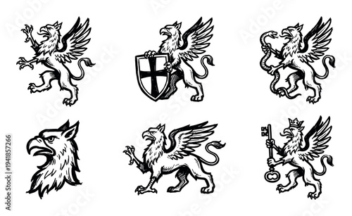 Set of six black ink griffin illustrations in a hand-drawn heraldic style, featuring the mythical creature holding a shield, fighting a snake, and wearing a crown with a key