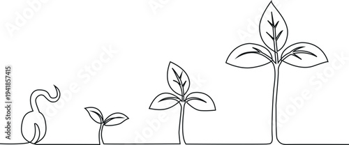 A continuous line drawing illustrates the stages of plant growth