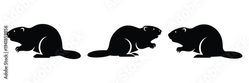 beaver silhouette icon set. Animals logos collection and isolated on White background