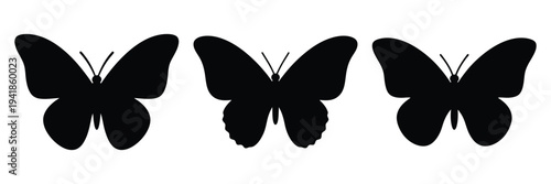 butterfly silhouette icon set. Animals logos collection and isolated on White background