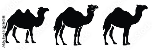 camel silhouette icon set. Animals logos collection and isolated on White background