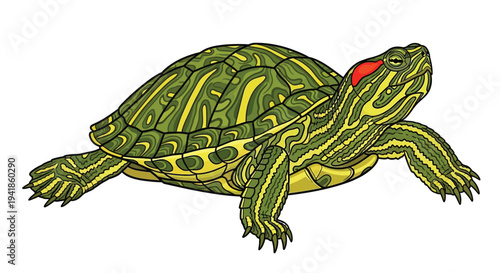 A colorful cartoon illustration of a red eared slider turtle