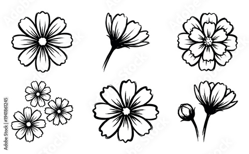 Six hand-drawn floral illustrations in a black ink brush stroke style, featuring various daisy-like blossoms, buds, and stems in a simple and elegant graphic collection