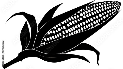 A detailed black and white illustration of an ear of corn