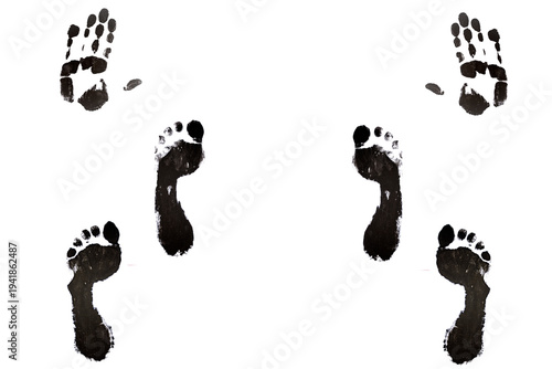 Wallpaper Mural Huellas en tinta negra con fondo blanco de pies y manos de hombre y mujer, huellas eróticas. Torontodigital.ca