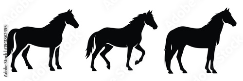 horse silhouette icon set. Animals logos collection and isolated on White background