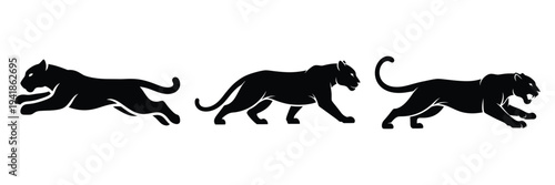 jaguar silhouette icon set. Animals logos collection and isolated on White background