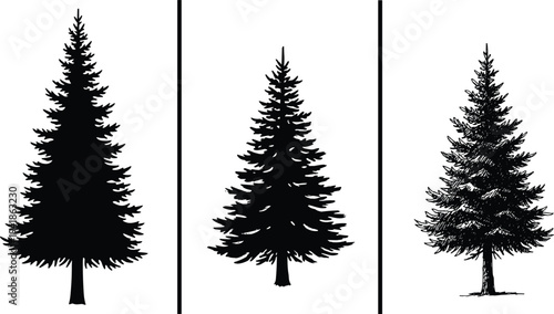 Three black pine tree silhouettes in distinct styles separated by vertical lines isolated on white background, evergreen design elements