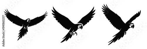 macaw silhouette icon set. Animals logos collection and isolated on White background