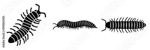 millipede silhouette icon set. Animals logos collection and isolated on White background
