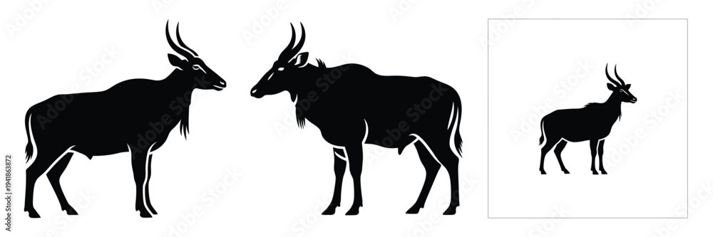 Obraz premium nilgai silhouette icon set. Animals logos collection and isolated on White background