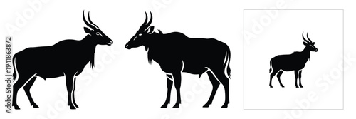 nilgai silhouette icon set. Animals logos collection and isolated on White background