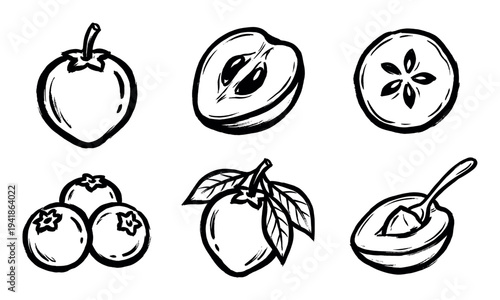 Various hand-drawn fruit illustrations depict fresh healthy produce in a rustic ink sketch style, showcasing whole and cut fruits with organic textures