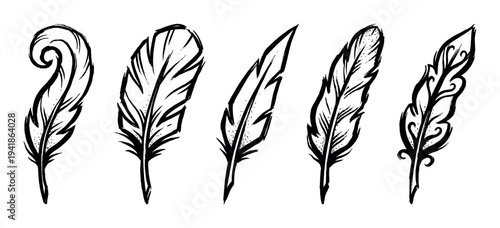 Five distinct stylized black ink feathers are hand-drawn with intricate details and a textured, artistic appearance, showcasing a unique collection of decorative elements