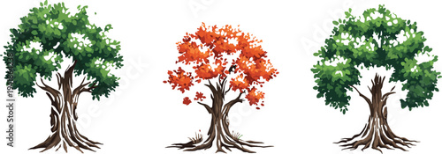 Three colorful illustrated trees with green and autumn foliage isolated on white background for nature and seasonal design