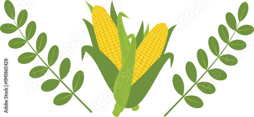 Fresh Corn Cob Vector Illustration with Green Leaves and Corn Plant Elements for Agriculture Design, Organic Farm Produce Branding and Natural Food Graphics.